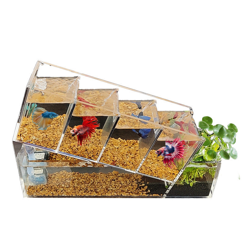 Acrylic Desktop Small Fish Tank Multi-grid Isolation Area