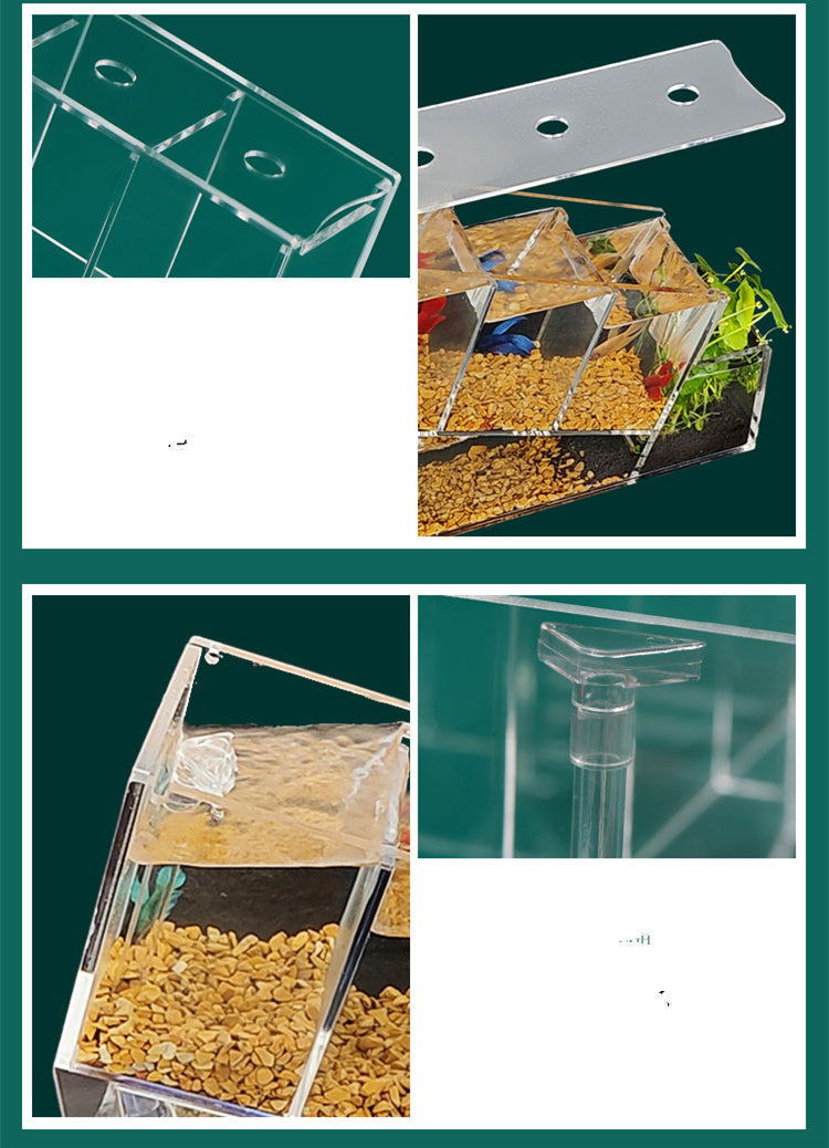 Acrylic Desktop Small Fish Tank Multi-grid Isolation Area