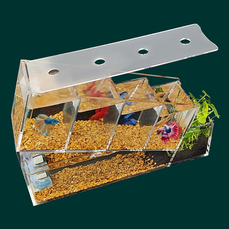 Acrylic Desktop Small Fish Tank Multi-grid Isolation Area