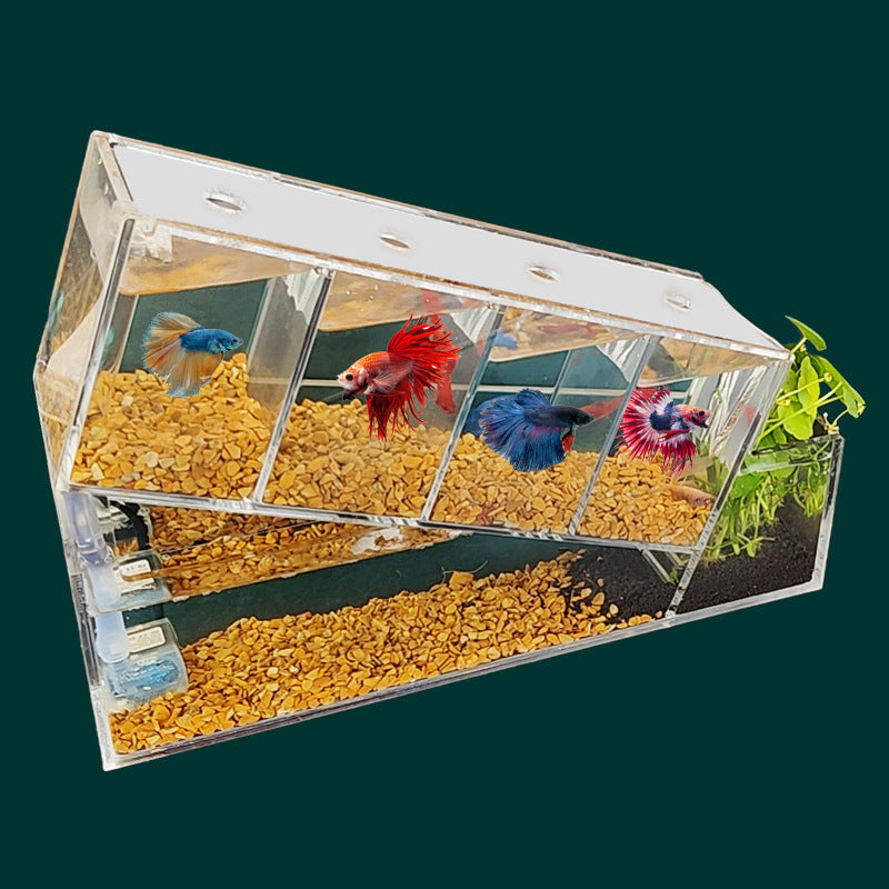 Acrylic Desktop Small Fish Tank Multi-grid Isolation Area